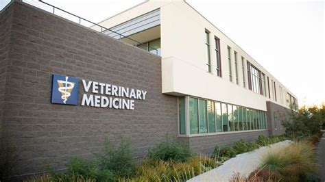 Although commonly considered an illness of older dogs and cats, it can occur in animals of all ages. . Uc davis veterinary